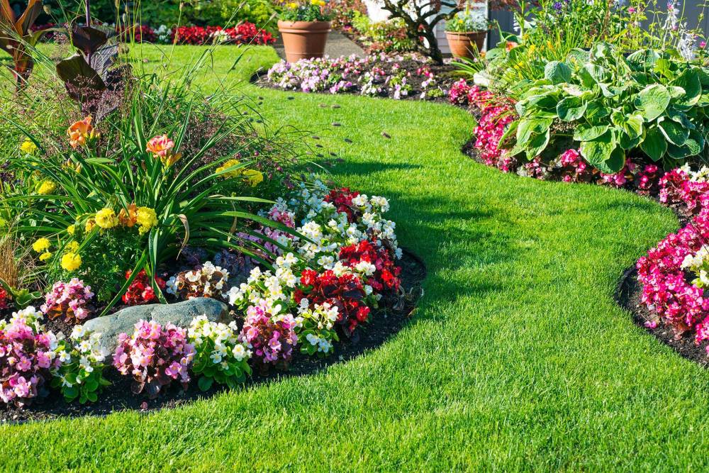 espace-vert-jp-dalmasso-jardin