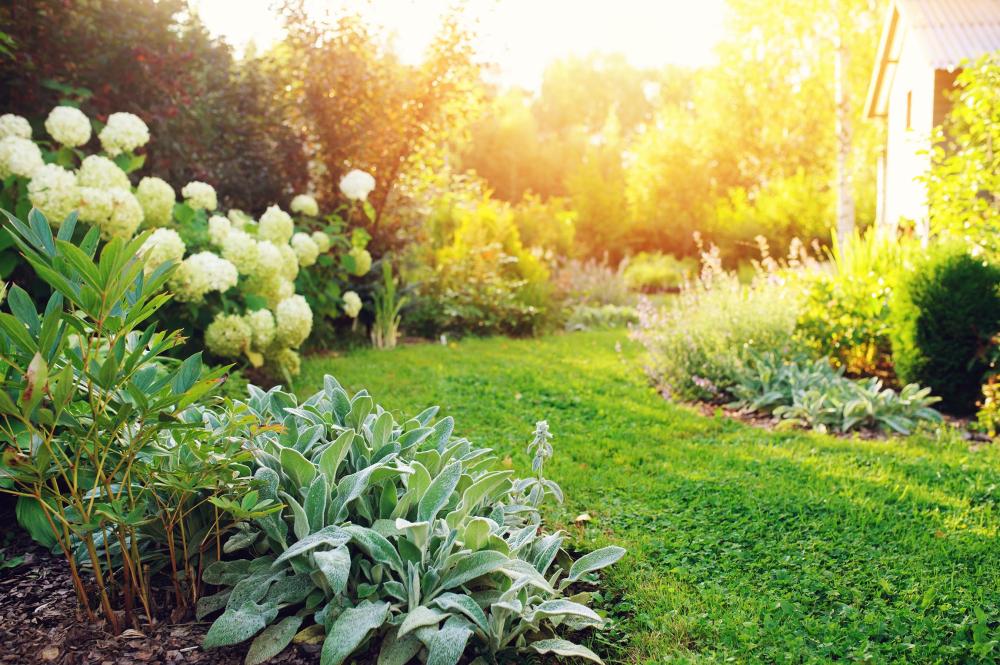 espace-vert-jp-dalmasso-jardinier